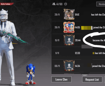 What is this role and what does it do to my clan?