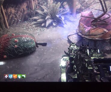 Why is there a kn44 in this plant?