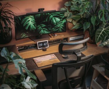Chair upgrade in the jungle office! 🌿