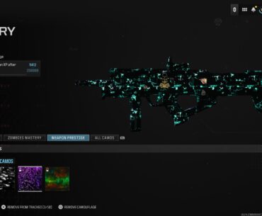 Would I be able to earn these camos in warzone?