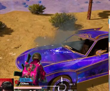 What is the name of this skin?