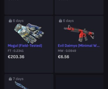 I acquired my dream knife/glove combo today - What do you guys think?