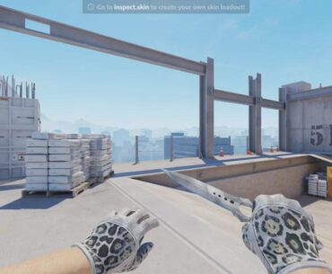 Just got my dream gloves, Snow Leopards, give me combos!