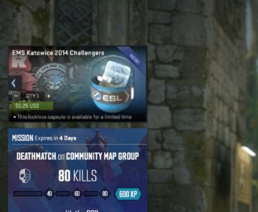 With recent events, I would not be surprised if Valve added these in the next update