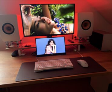 Dual OLED Battle Station - not pretty but functional