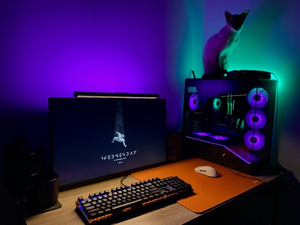 my setup