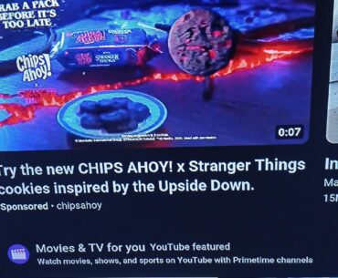 Went do the Stranger Things Chips Ahoy! cookies look like the Focusing Stone?