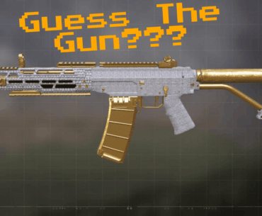 What gun is this?👀