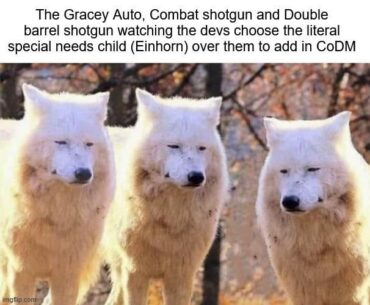 Its just funny how awful the Einhorn is compared to the other 3 Vanguard shotguns