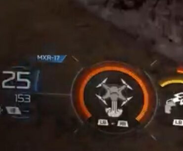 So Treyarch can remove the gun silhouette for Endgame but not Zombies?