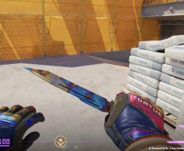 [H] Specialist gloves marble fade FT 0.33 / Paracord case hardened FT 0.28 pattern 877 [W] Imperial plaid FT 0.25 or better