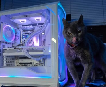 My first AM5 build "Fr0stC0re" is complete. Cat tax included! I've not had a AMD CPU and Radeon GPU rig since 2003.