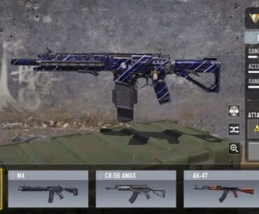 Favorite Gun and why?