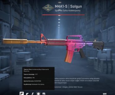 How much is this?