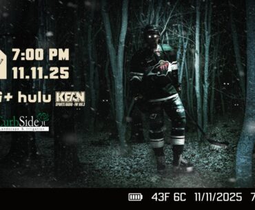 Game Preview: Wild vs. Sharks