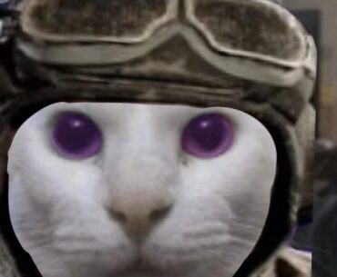 Why does the Nikolai hud portrait look like this