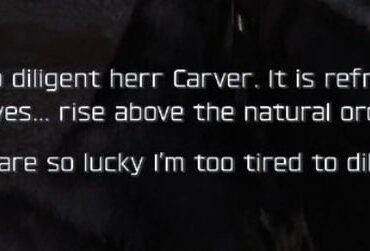Top 3 voice lines 🙏