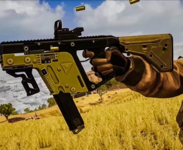 Most op smg in the game. Vector with increased clip.