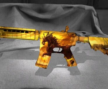 Skin Workshop cs 2