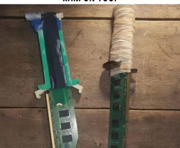 What do you guys think