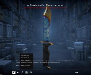 Tryna sell my Bowie case hardened it’s up on CSFloat already