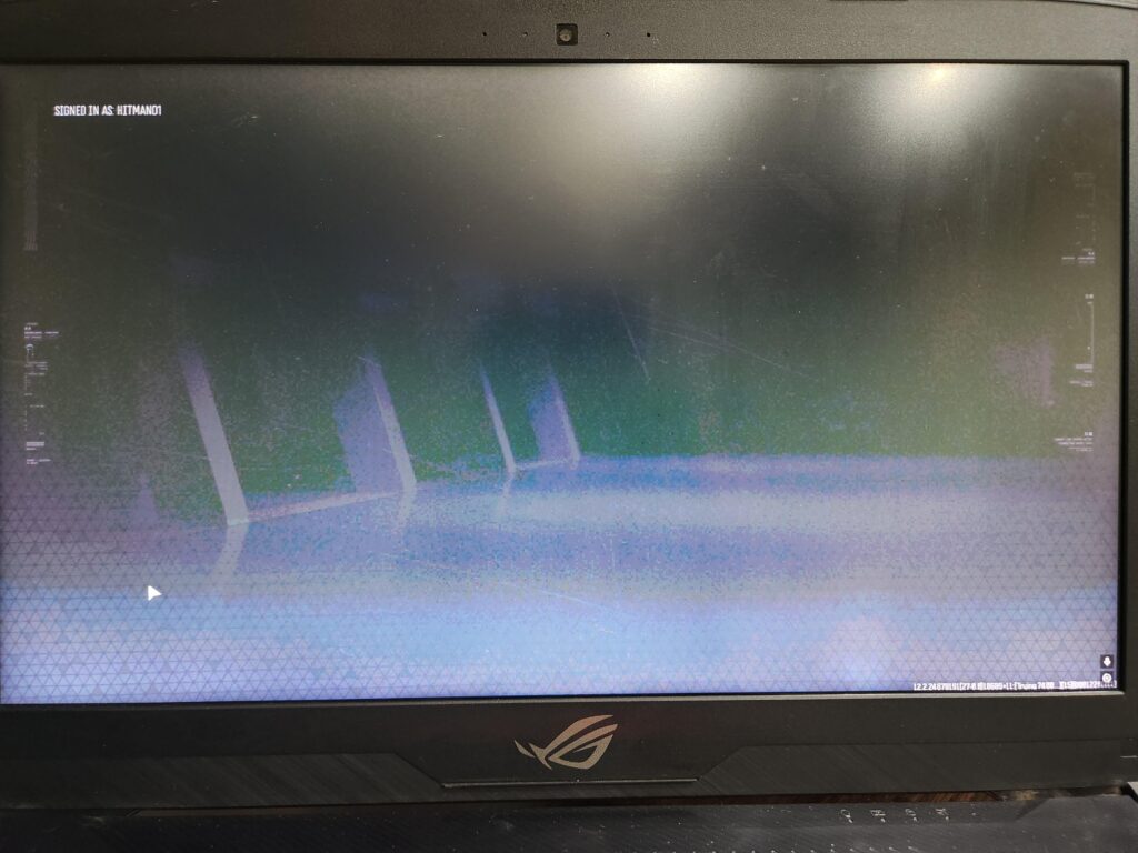Warzone stuck on login screen