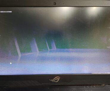 Warzone stuck on login screen