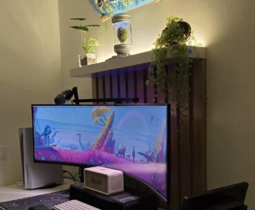 Just my corner of the world