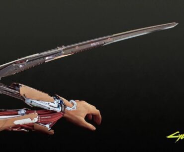 Anybody has the video of climbing with mantis blades? In development photage