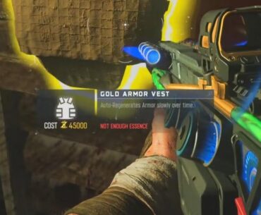 Golden Armour wallbuy costs 45,000 points