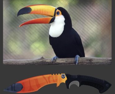 I came up with this when I saw a toucan 🙃