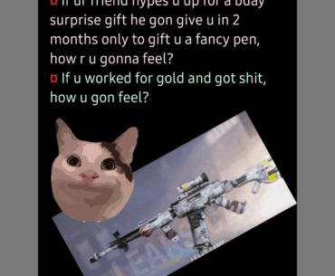 The reward after a whole year grind... #COD:M