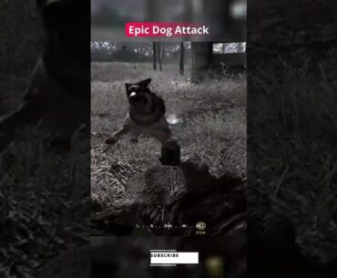 Epic Dogs Attack in COD #shorts #gaming #cod #battlefield
