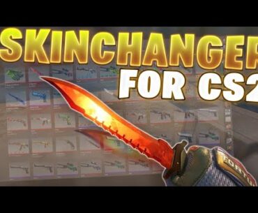 CS2 Skin Changer No Vac 2026 🌌 Best Counter-Strike 2 Skinchanger Free Download