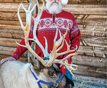 Reindeer from Jessen Reindeer Ranch near Estes Park will be making a visit to Black Hawk.