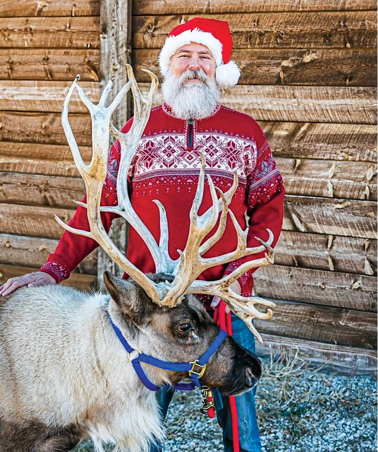 Reindeer games will hit gaming town Reindeer from Jessen Reindeer Ranch near Estes Park will be making a visit to Black Hawk.