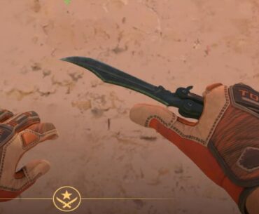 Best gloves for butterfly black lam?