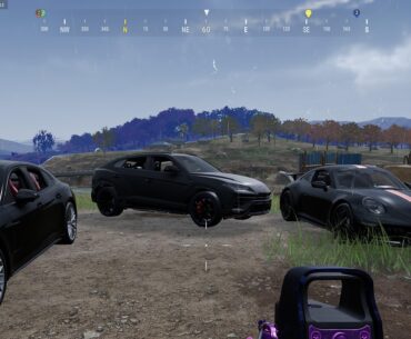 They’re Beautiful 😍