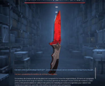 Spent a ton of money on cases, and i finally got this knife that finally made it all profitable on an insane amount of luck, now time to retire from gambling
