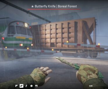 Ct Agent + Bfk + Gloves combo