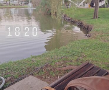 One of my favorite things about gaming on handheld [Octopath traveler 0]