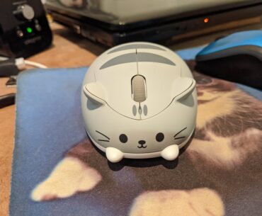 Got a cat mouse for my birthday