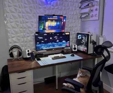 My cat's setup