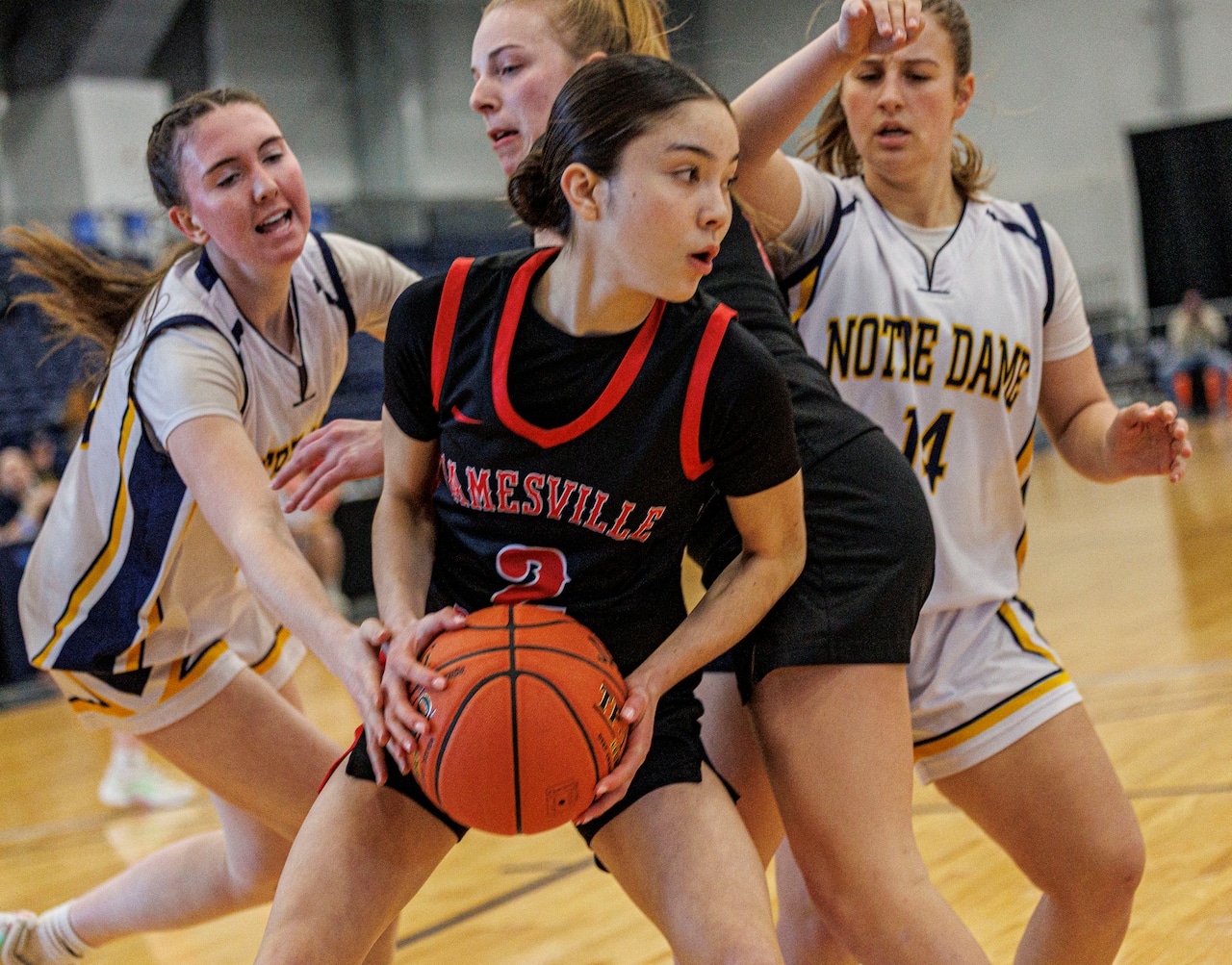 Red Rams vs Jugglers girls basketball sectionals