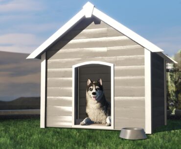 How To Buy Cats And Dogs In GTA Online And Pet Them