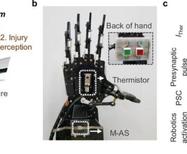 Ultra-low power, fully biodegradable artificial synapse offers record-breaking memory