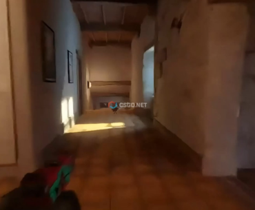 How a chicken can ruin a game 🤣