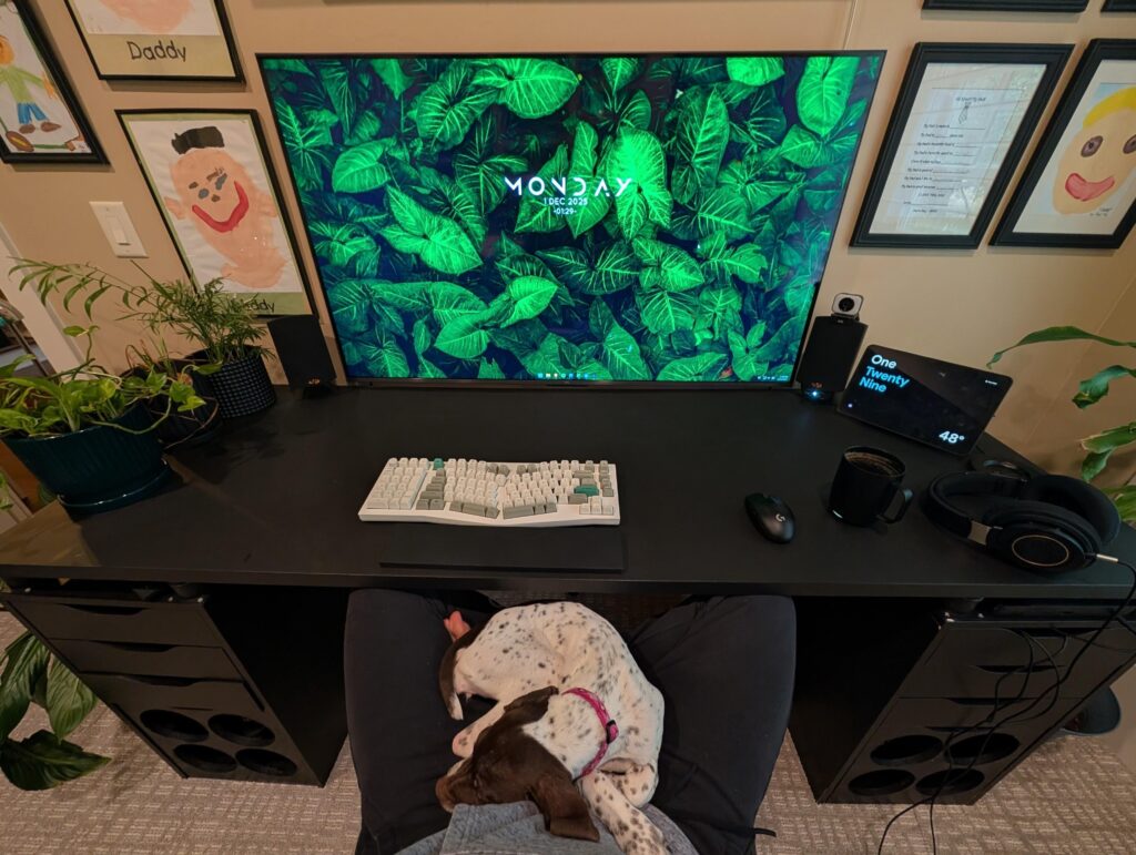 Cozy WFH day, with the new puppy 🥰