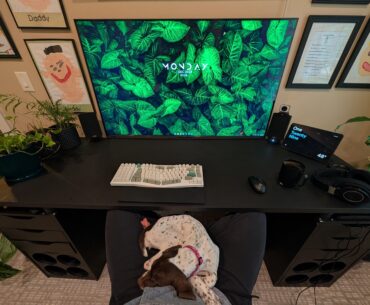 Cozy WFH day, with the new puppy 🥰