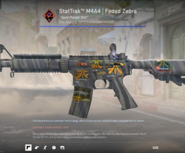 What's your favorite and UNIQUE playskin?